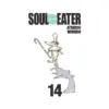 Soul Eater (Manga) Volume 14