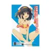9780316336130 Haruhi Suzumiya: The Celebration of Haruhi Suzumiya (Manga)