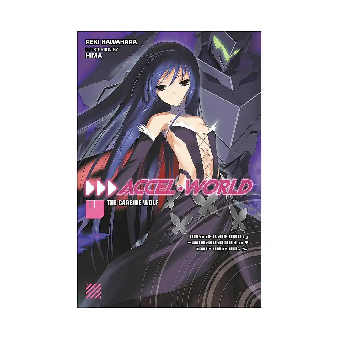 Accel World (Light Novel) Volume 11