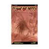 Flame of Recca (Manga) Volume 14