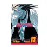 9781421506111 Bleach (Manga) Volume 13