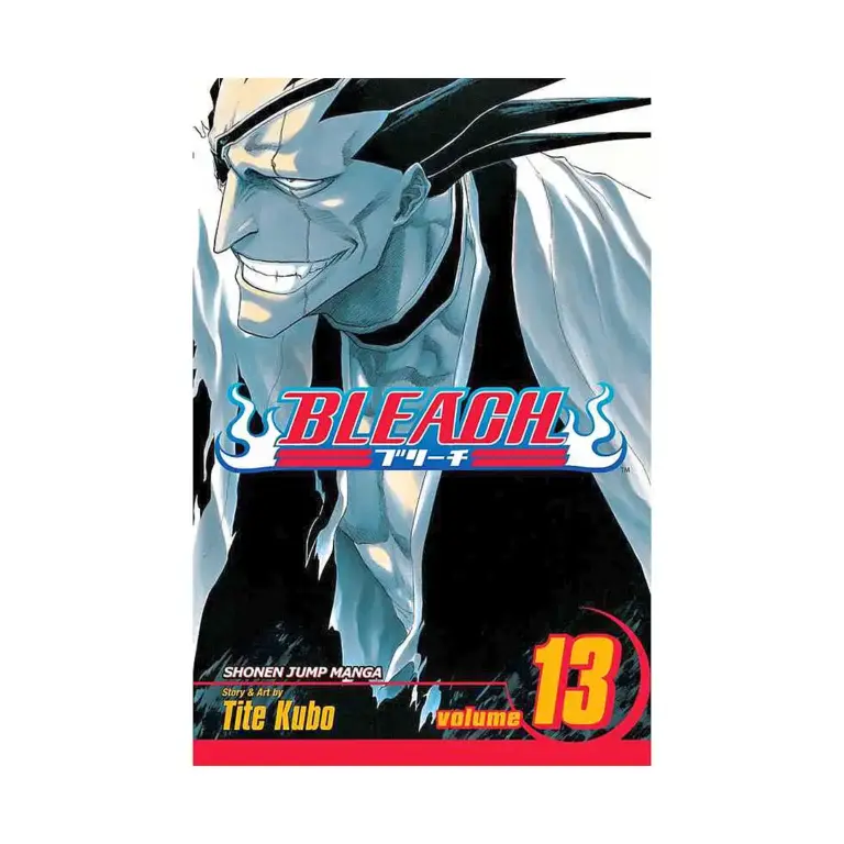 Bleach (Manga) Volume 13