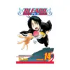 Bleach (Manga) Volume 14