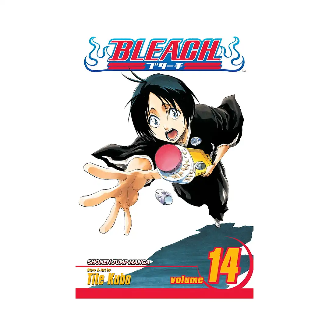Bleach (Manga) Volume 14
