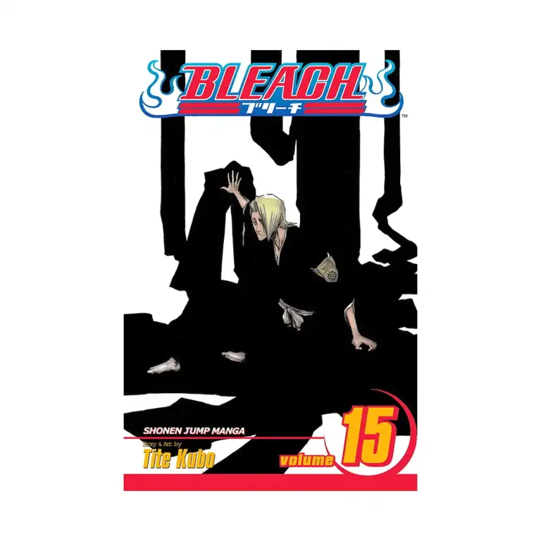 Bleach (Manga) Volume 15