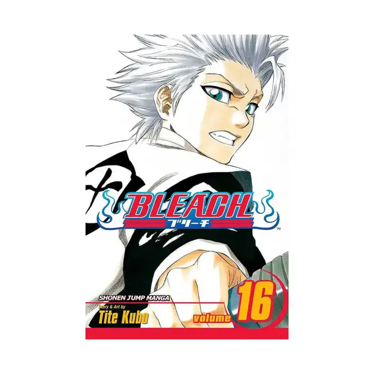 Bleach (Manga) Volume 16