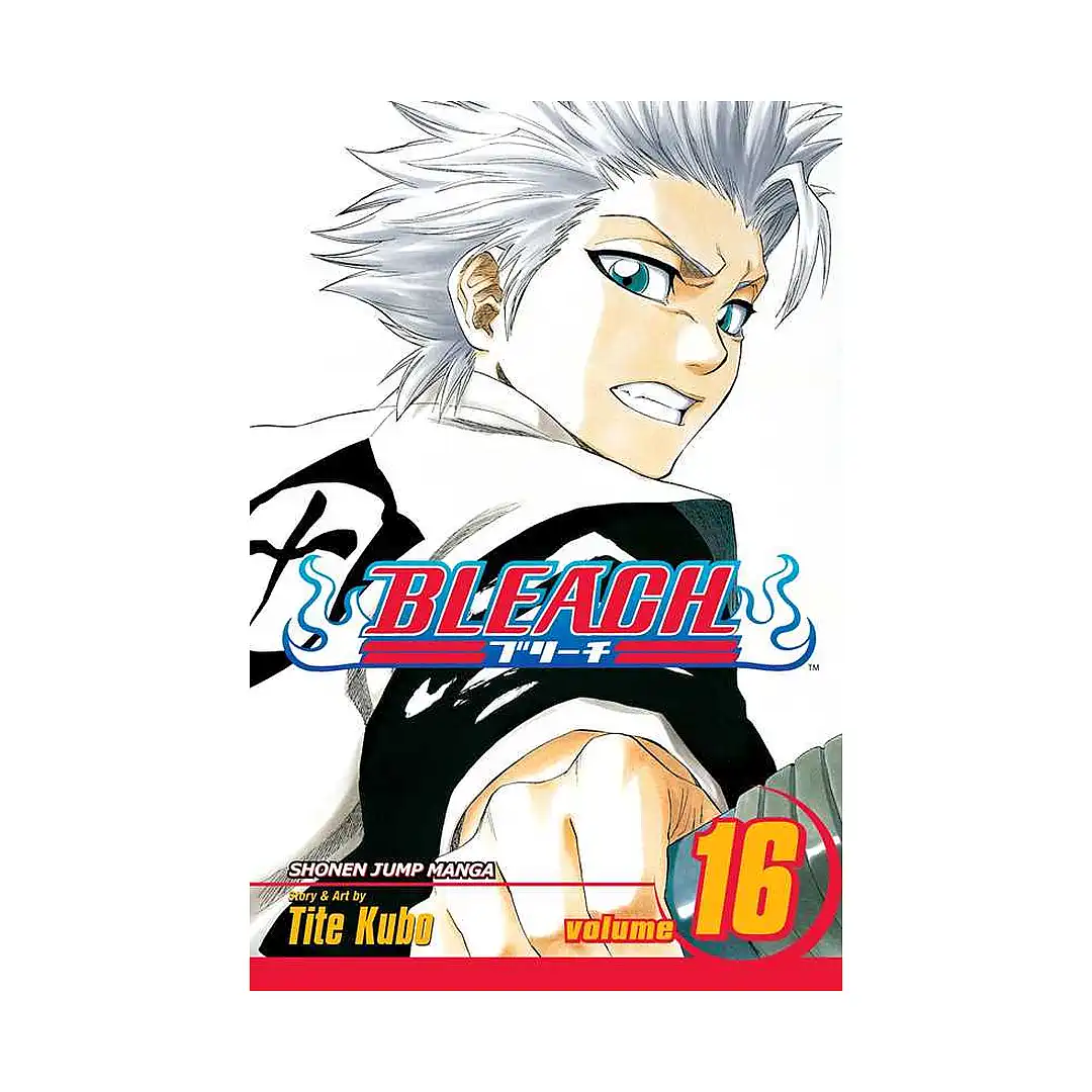 Bleach (Manga) Volume 16