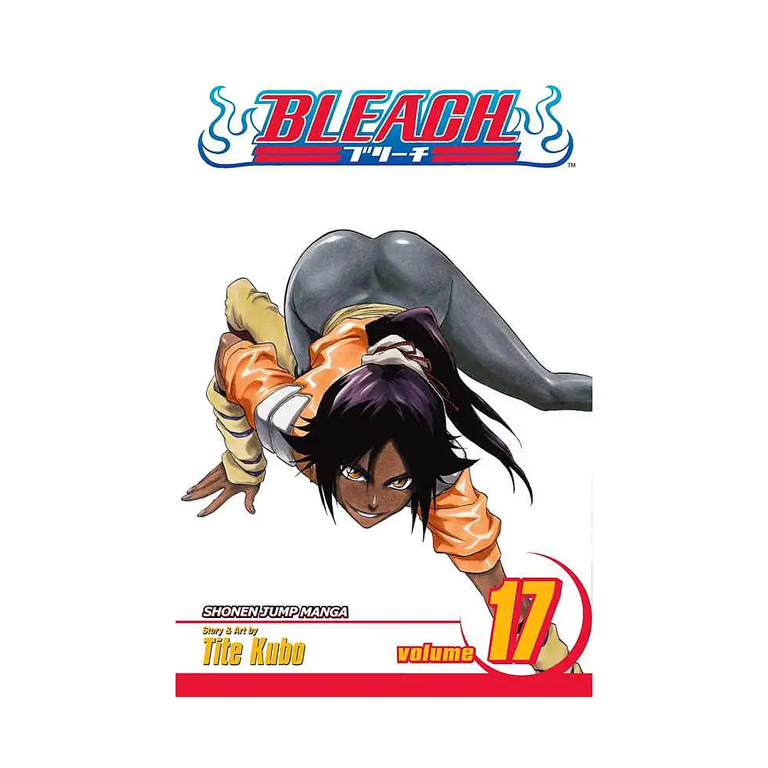 Bleach (Manga) Volume 17