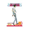 Bleach (Manga) Volume 21