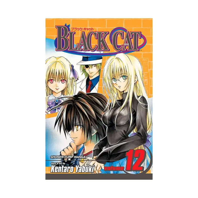 9781421514703 Black Cat (Manga) Volume 12