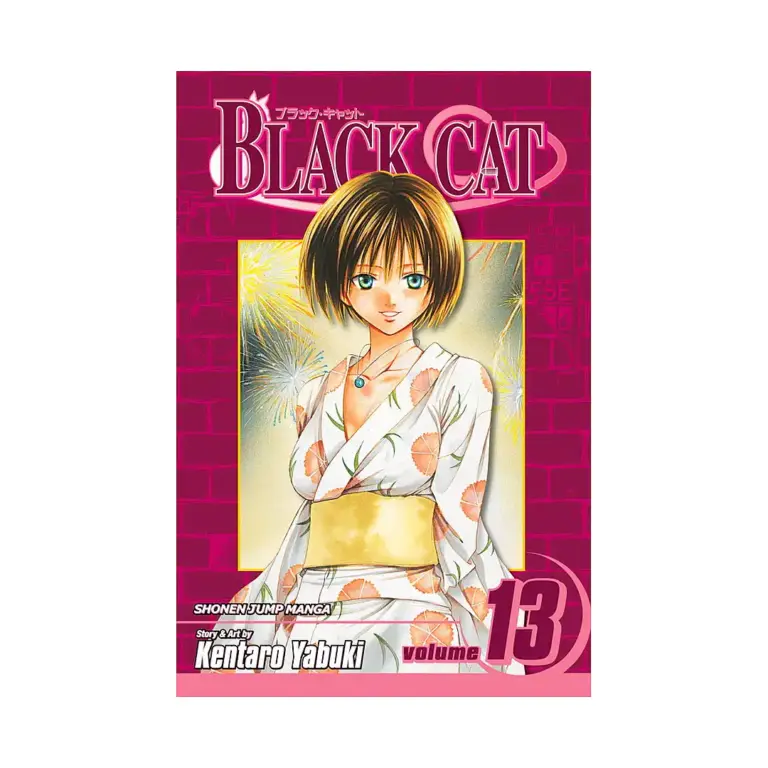 Black Cat (Manga) Volume 13