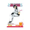 Bleach (Manga) Volume 26