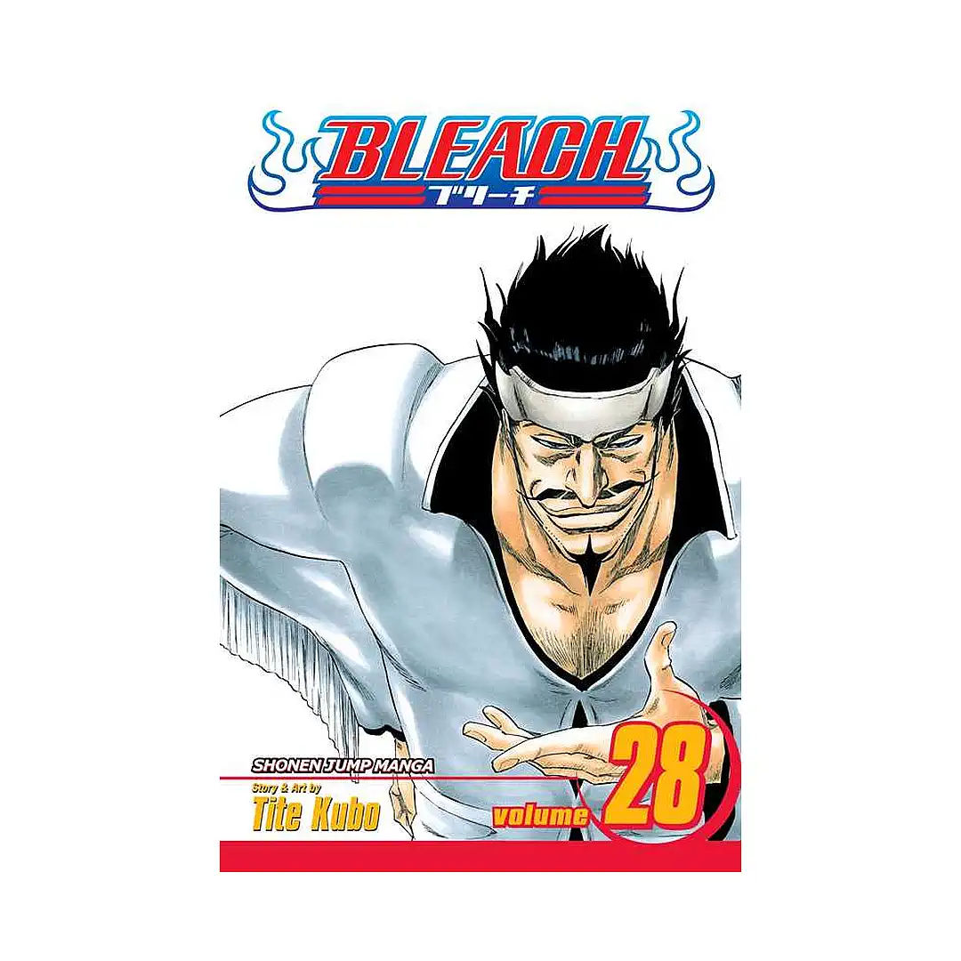 Bleach (Manga) Volume 28