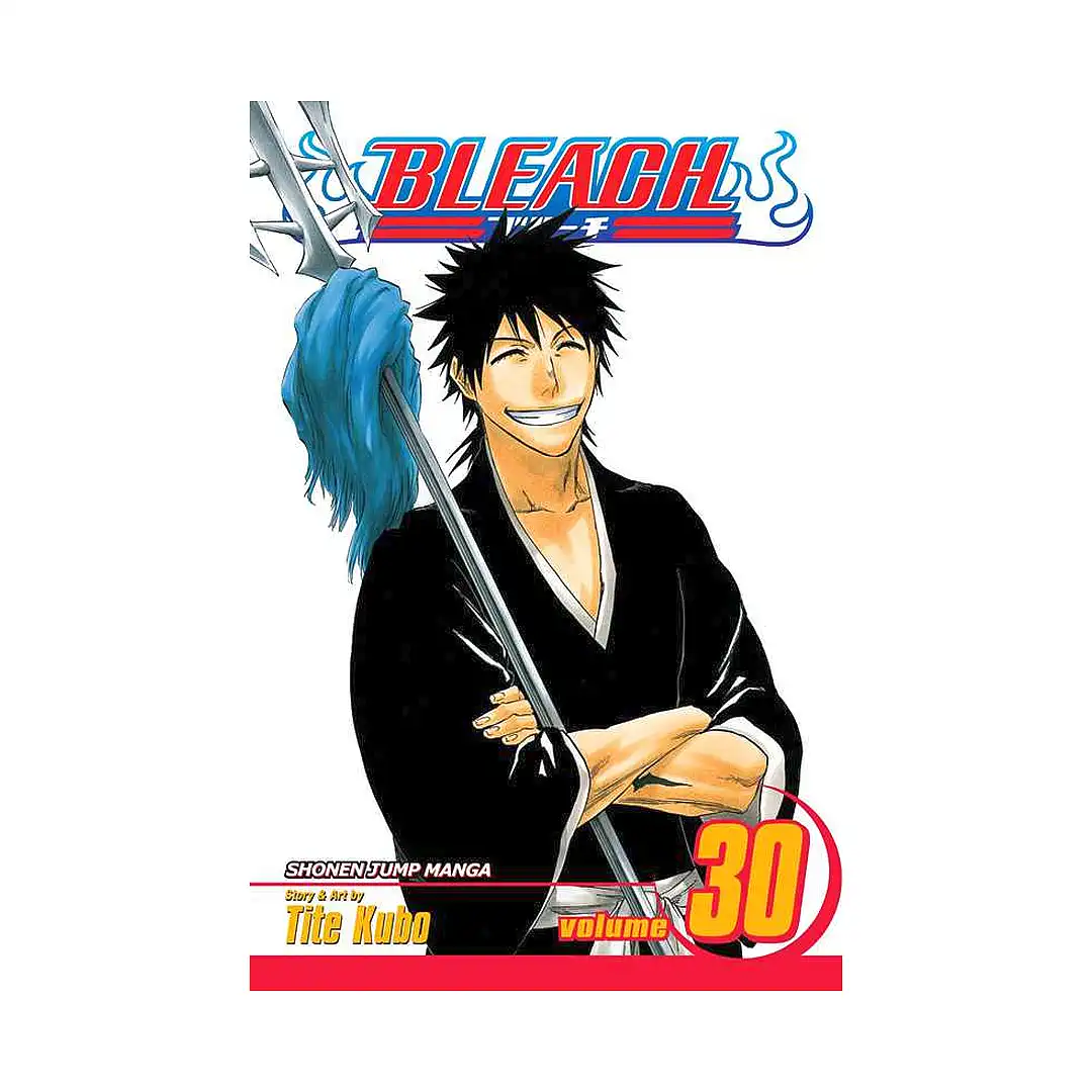 Bleach (Manga) Volume 30
