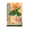 Dragon Drive (Manga) Volume 12