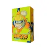 Naruto: Box Set 01