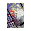 9781421539379 Black Bird (Manga) Volume 11