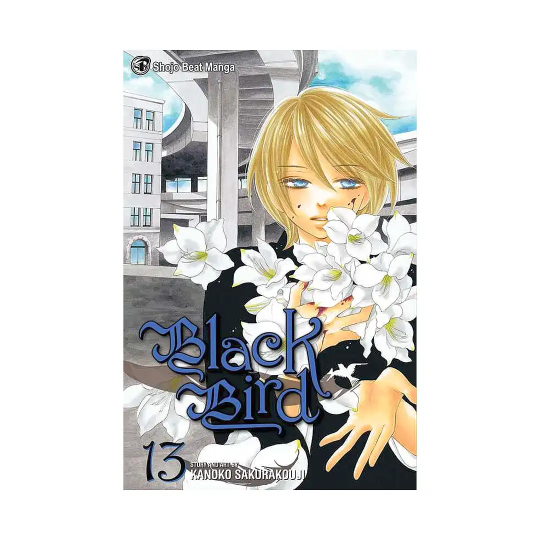 Black Bird (Manga) Volume 13