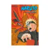 Naruto 3-In-1 Omnibus Edition [49-50-51] (Manga) Volume 17