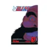 Bleach (Manga) Volume 67