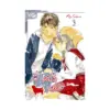 9781427880741 A Tail's Tale (Manga) Volume 03