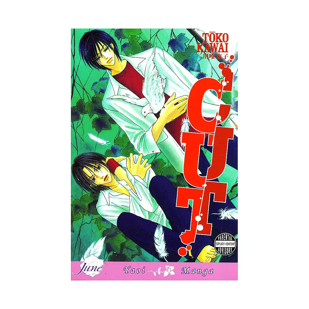 9781569700433 Cut (Manga)