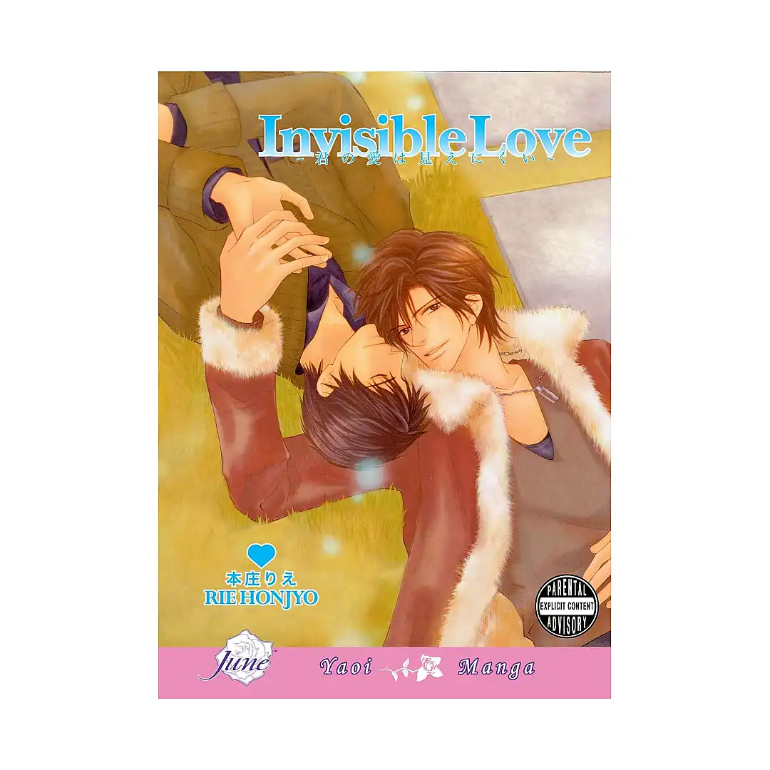 Invisible Love (Manga)