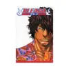 Bleach (Manga) Volume 05