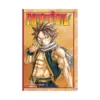 Fairy Tail: Day Planner (Guide Book)