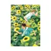 I Hear the Sunspot: Four Seasons (Manga) Volume 04