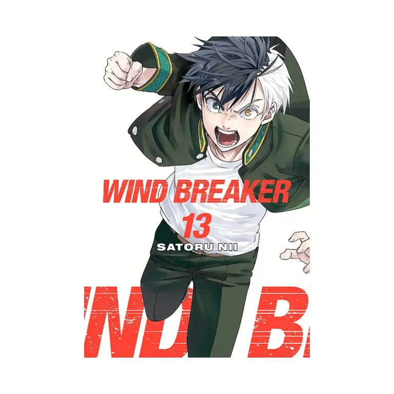 9781646519606 Wind Breaker (Manga) Volume 13