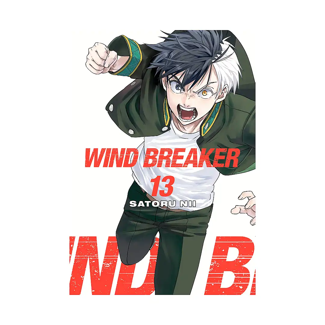 9781646519606 Wind Breaker (Manga) Volume 13