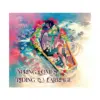 9781647291822 Maiden's Bookshelf: Spring Comes Riding in a Carriage (Light Novel)