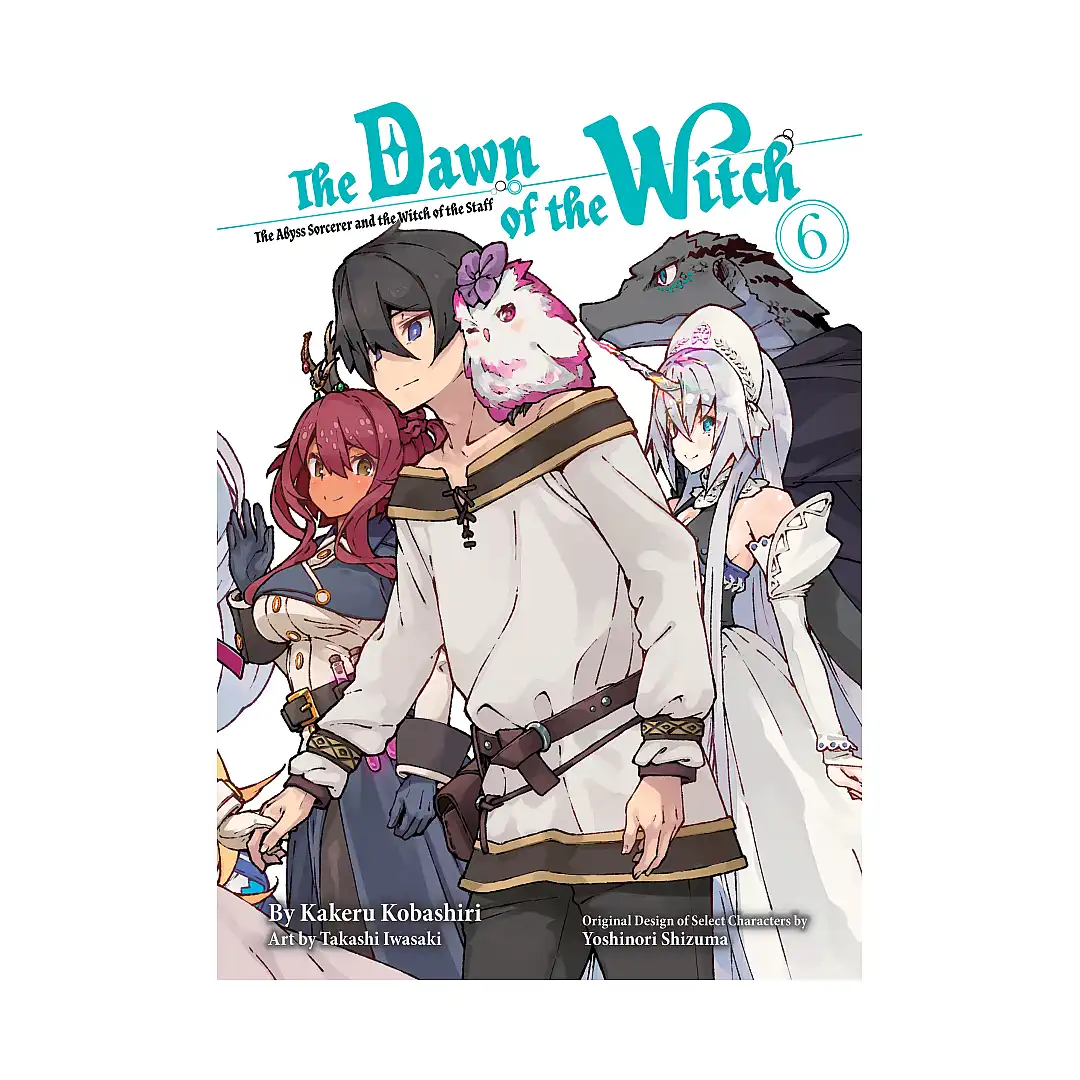 9781647293482 The Dawn of the Witch (Light Novel) Volume 06