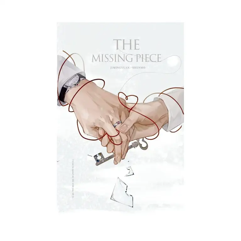 The Missing Piece (Novel)