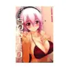 Sonicomi Artbook: Super Sonico Picture Album (Illustration Book)