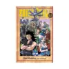 Fairy Tail (Manga) Volume 13