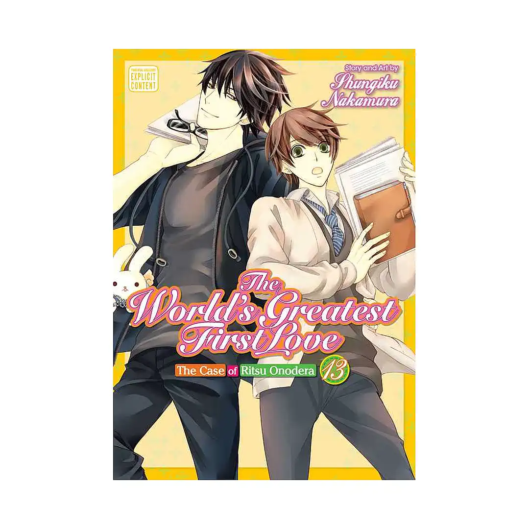 9781974704033 The World's Greatest First Love (Manga) Volume 13
