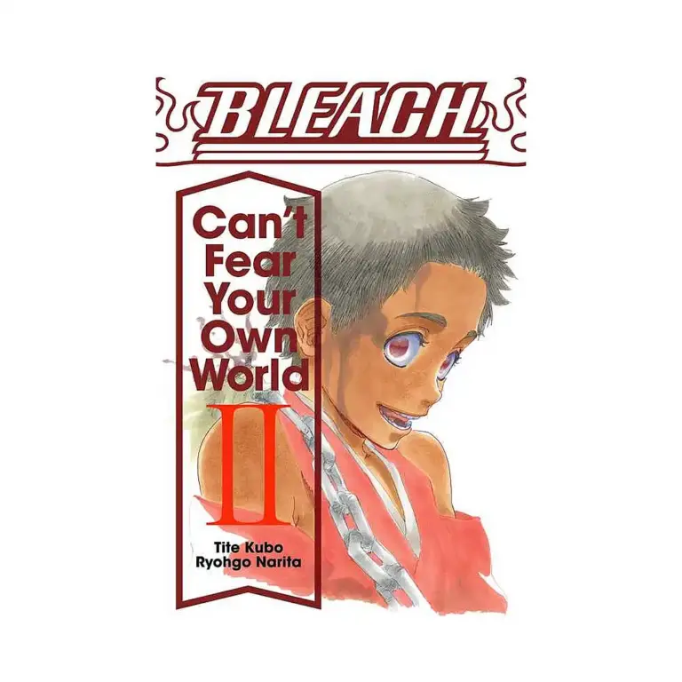 9781974713271 Bleach: Can't Fear Your Own World (Manga) Volume 02