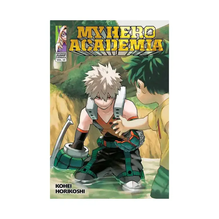 9781974725106 My Hero Academia (Manga) Volume 29