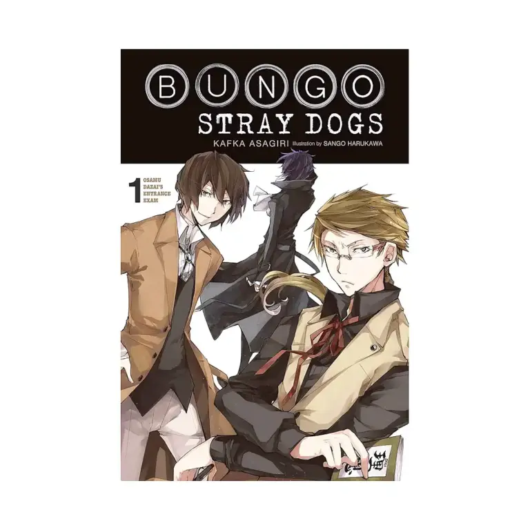 9781975303228 Bungo Stray Dogs (Light Novel) Volume 01