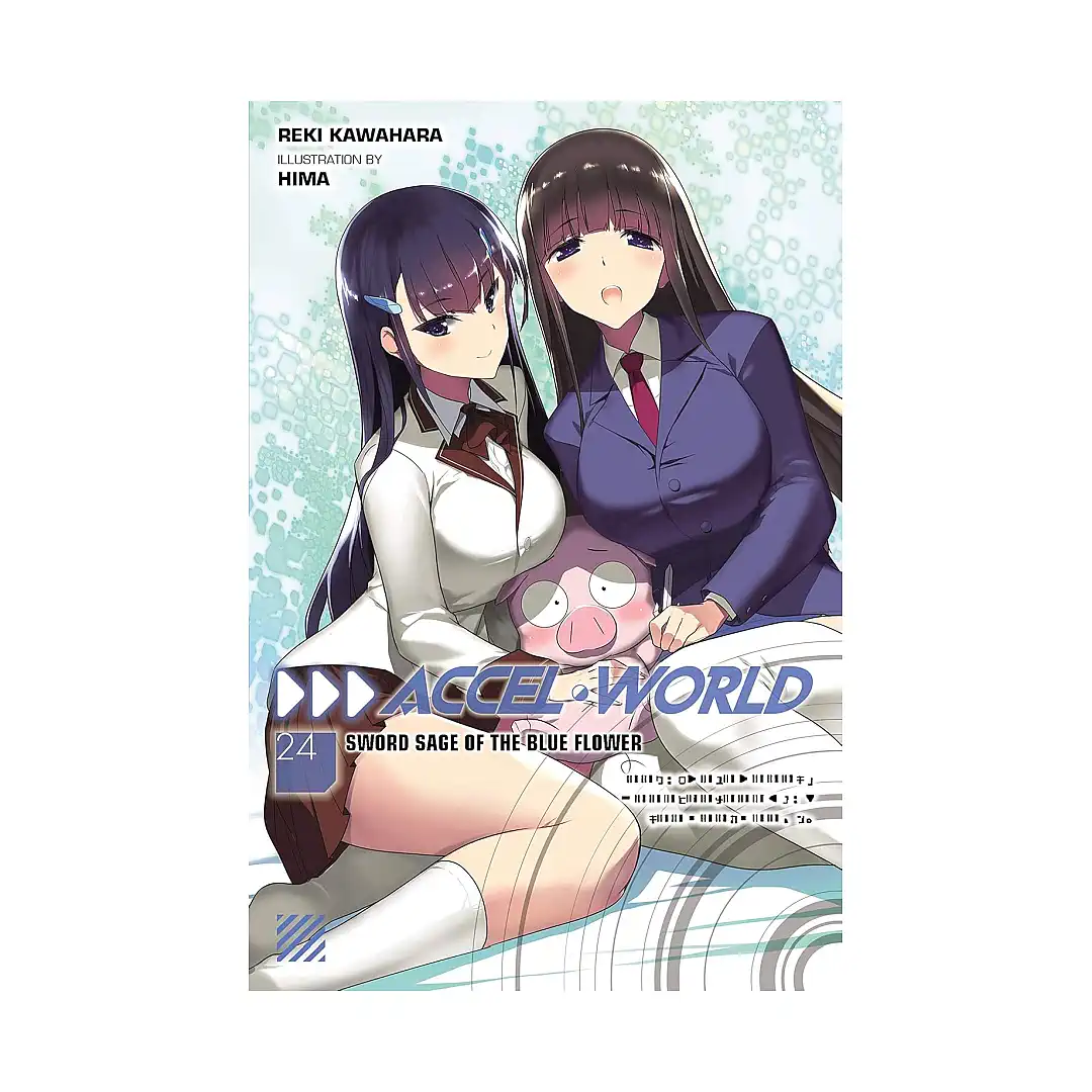 Accel World (Light Novel) Volume 24