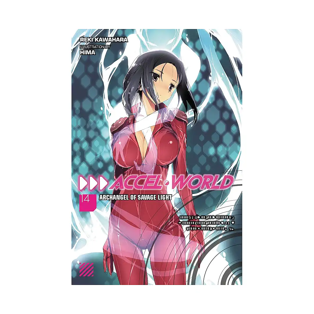 Accel World (Light Novel) Volume 14