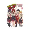9781975328078 High School DXD (Manga) Volume 11