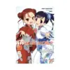 Accel World (Light Novel) Volume 25