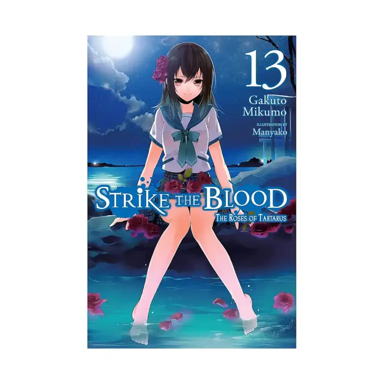 9781975384838 Strike the Blood (Light Novel) Volume 13