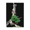Bonsai: Reprint Edition (Illustration Book)