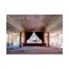 Silent World: Beautiful Ruins of a Vanishing World (Illustration Book)