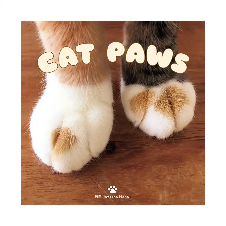 Cat Paws (Illustration Book)