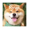 Shiba Inu Ryuji (Illustration Book)